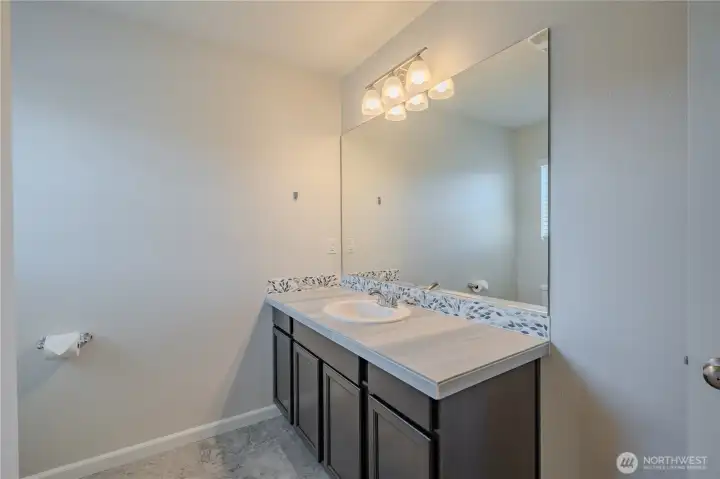 Hall Bathroom- Sink/Vanity Hall Bathroom- Sink/Vanity