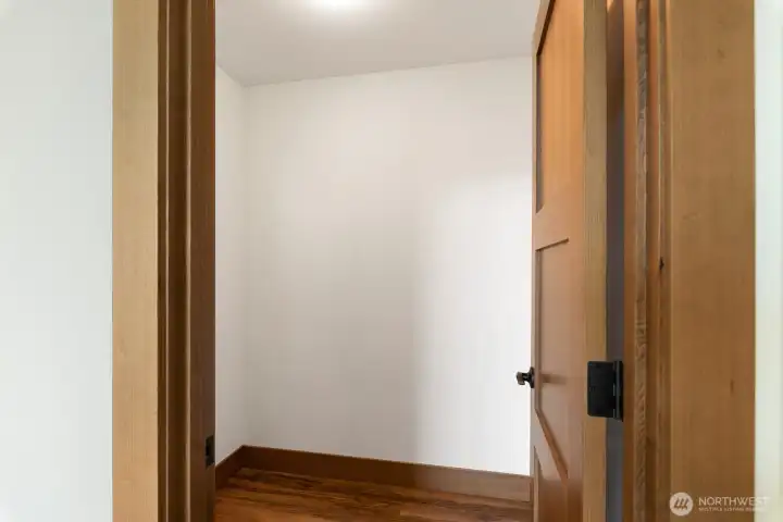 Walk in closet in guest bedroom