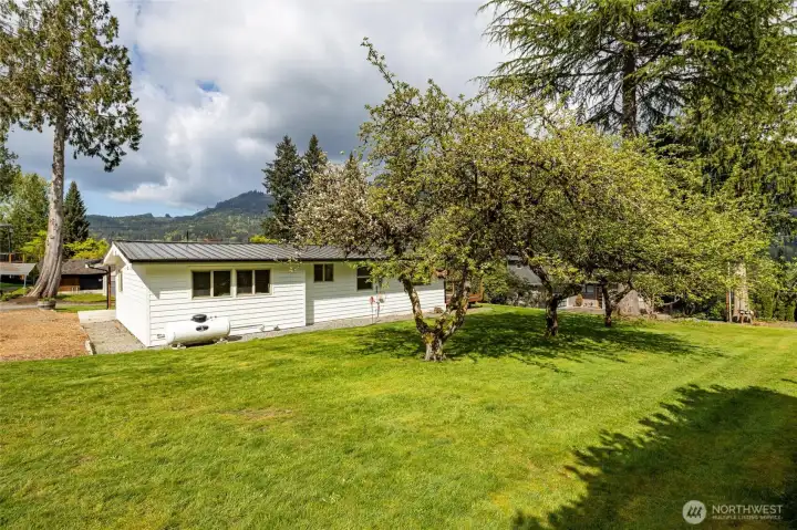 Fruit trees too! Fruit trees too!