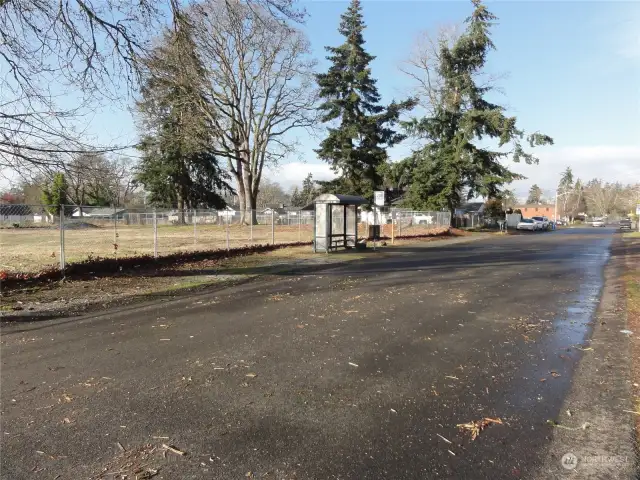 Bus stop across the street