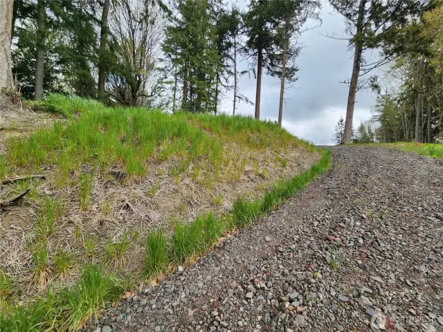 Driveway to Homesite