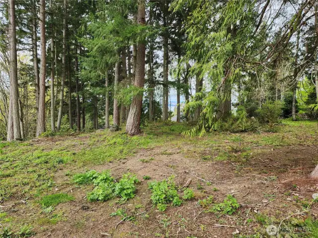 Some of the Homesite