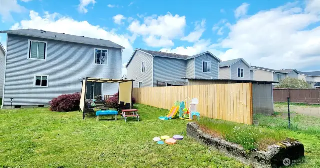 Back yard