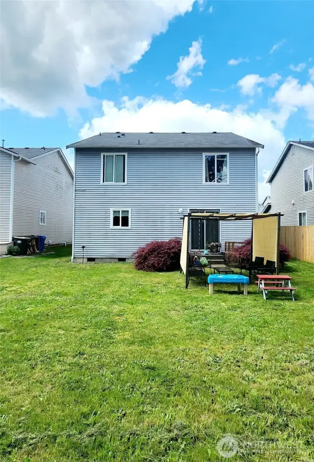 Back yard