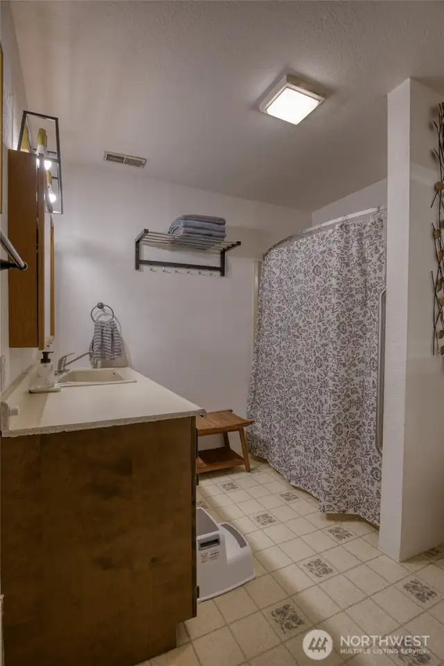 Lower level full bath.