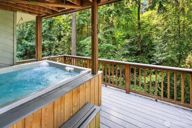 Private hot tub off the basement