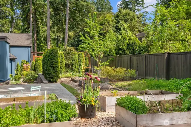 RAISED GARDEN