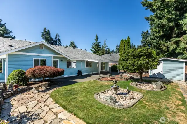 Rejuvenating backyard