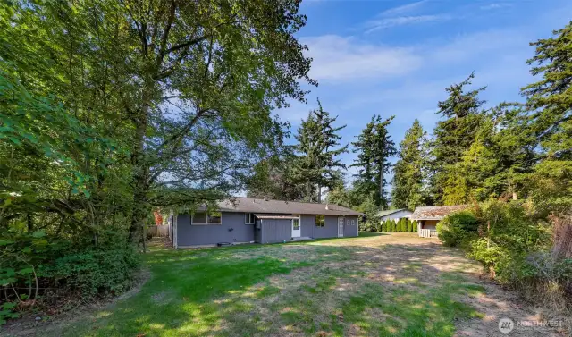 Large back yard with a mixture of light and shade, perfect for vegetable gardens!