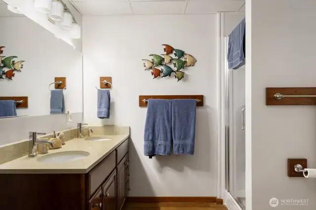 Lower level guest bath