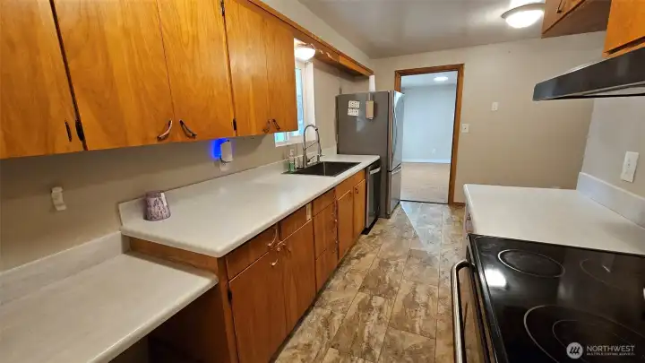 The kitchen has retro cabinets, newer countertops, stainless steel appliances, new sink and faucet, and new luxury vinyl tile flooring.