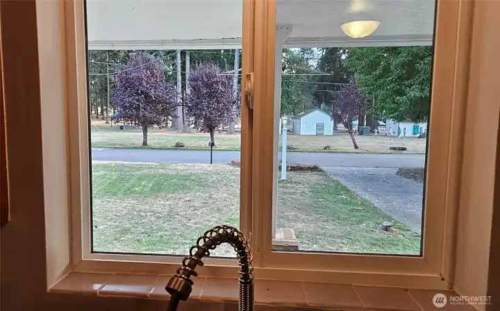 Do your dishes with a beautiful view of the park!