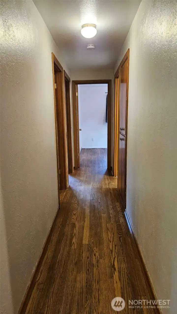 Hallway to all three bedrooms and the main bath. Hardwood floors!