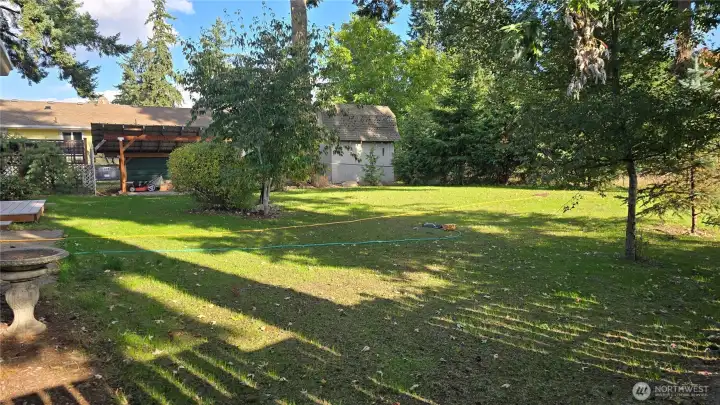 Huge backyard with established perennials.