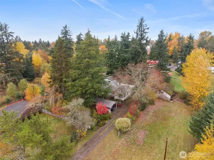 Knock knock...come on in!