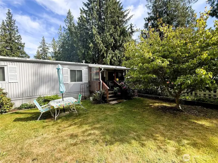 Nice summer lawn with lots of flowers and trees.