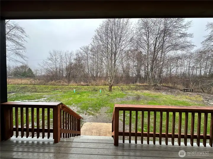 View of the backyard