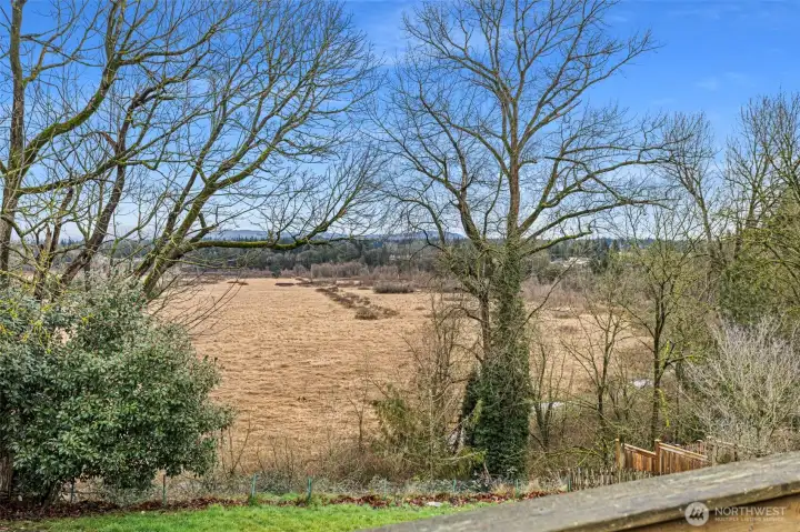 Mountain, Valley & Territorial Views!