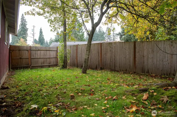 Side and Back Yard