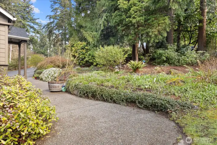 Front low-maintenance landscaping