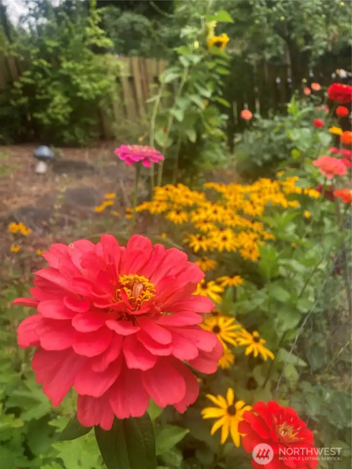 The gardens contain 15+ Dahlia varieties plus many other flowers, fruit trees, native and perennial plants