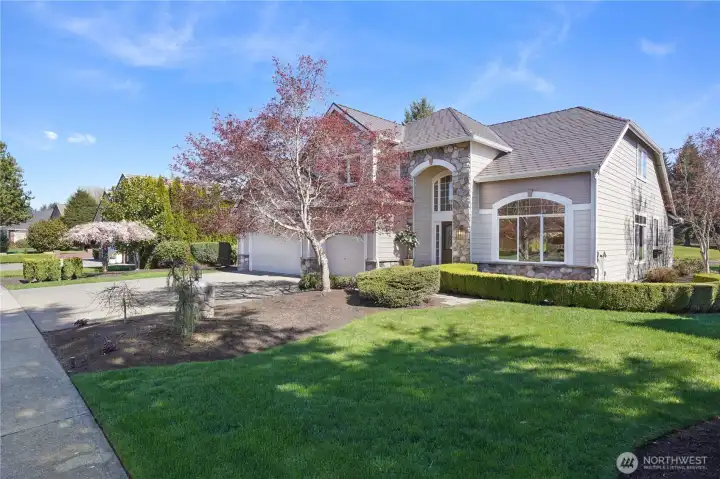 GORGEOUS STREET VIEW