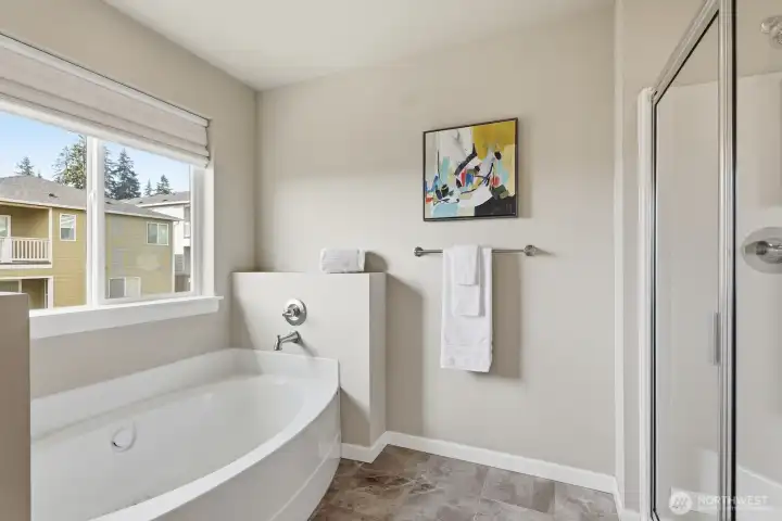 Soaking tub and walk-in shower