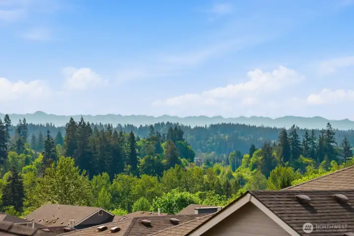Expansive view