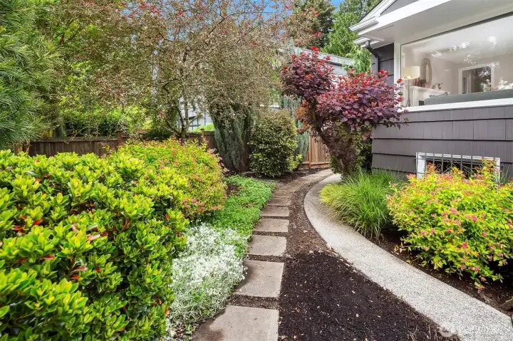 Sidewalk to backyard