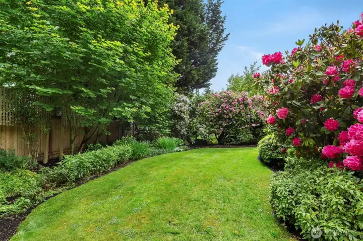 Lush backyard area with access from main floor deck.