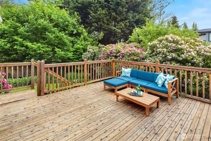 Main level deck off family room.