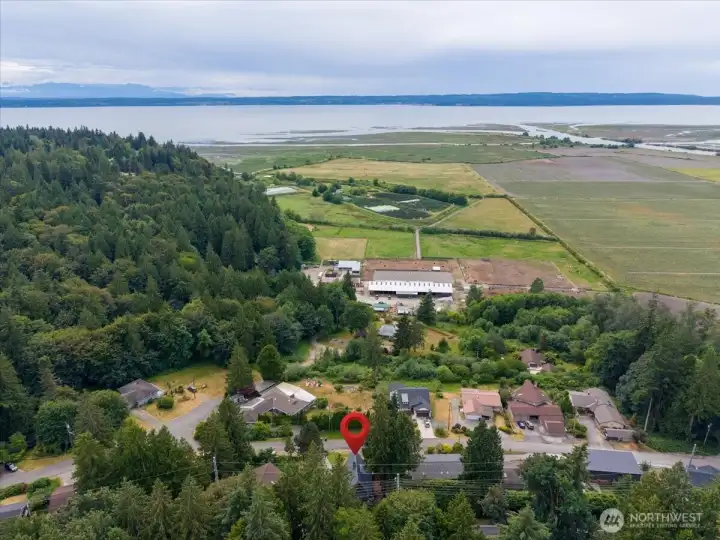 Hours of hiking trails just outside your door.  Walk down to the flats and dip your toes in the Puget Sound!