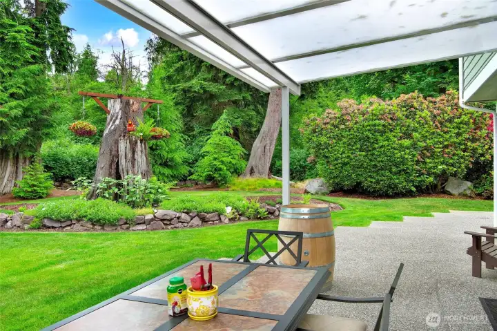 Look at all this privacy in the backyard! Look at all this privacy in the backyard!