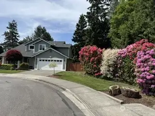 The rhodies are gorgeous! The rhodies are gorgeous!