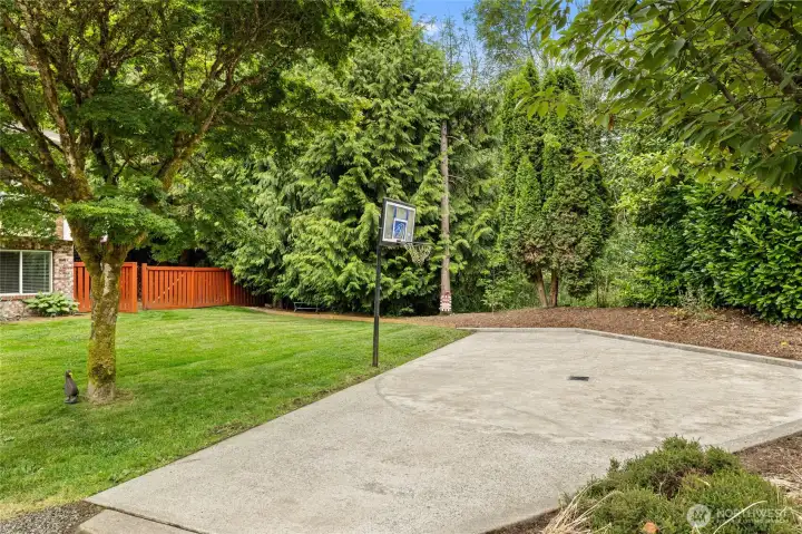 Shared Sports Court
