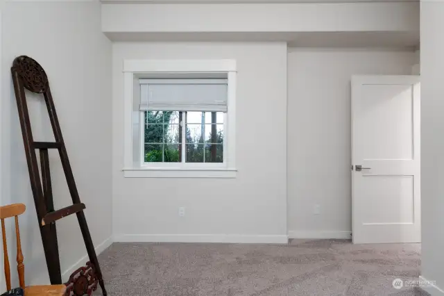 Downstairs bedroom, one of 4 total bedrooms in this home.  It is light and bright and features neutral carpeting.