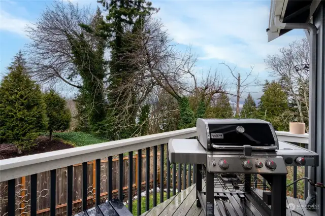 Another view from the dining room deck showing the gorgeous setting.