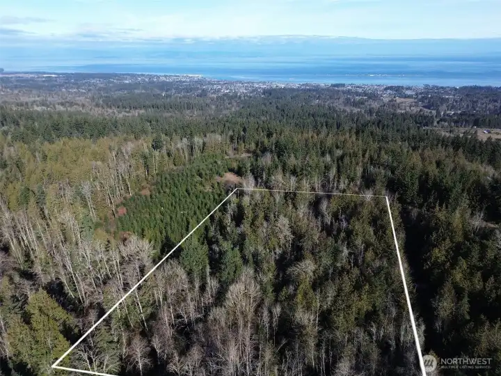 Approximate lot lines