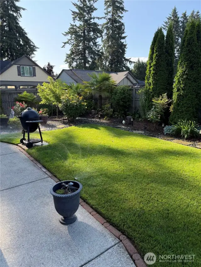 Backyard