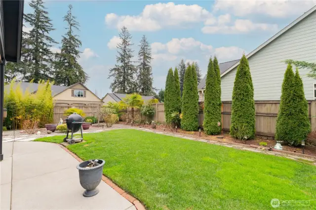 Backyard
