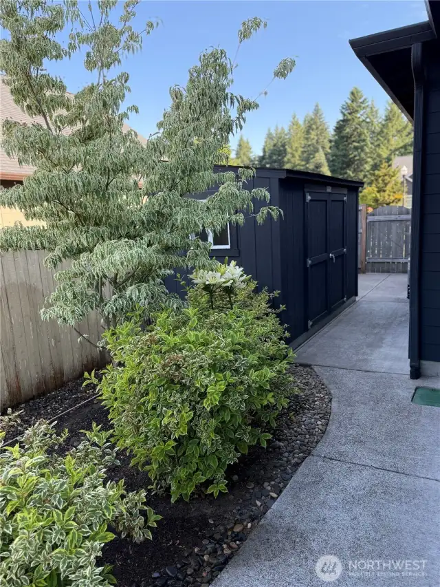 Back Walkway