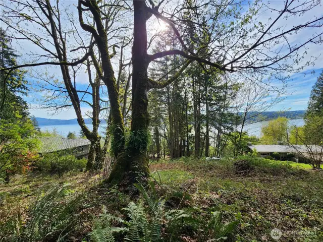 View from potential building site.