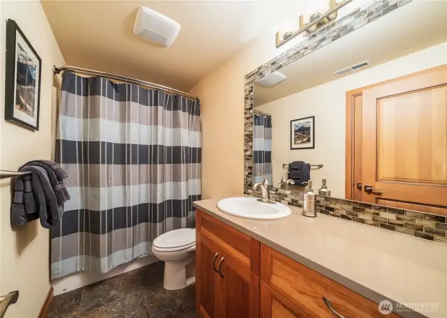 Lower level bathroom