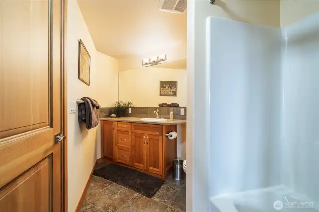 Lower level bathroom