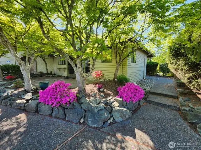 Beautiful Landscaping