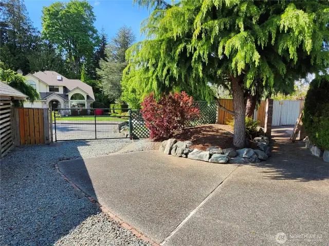 Backyard Driveway