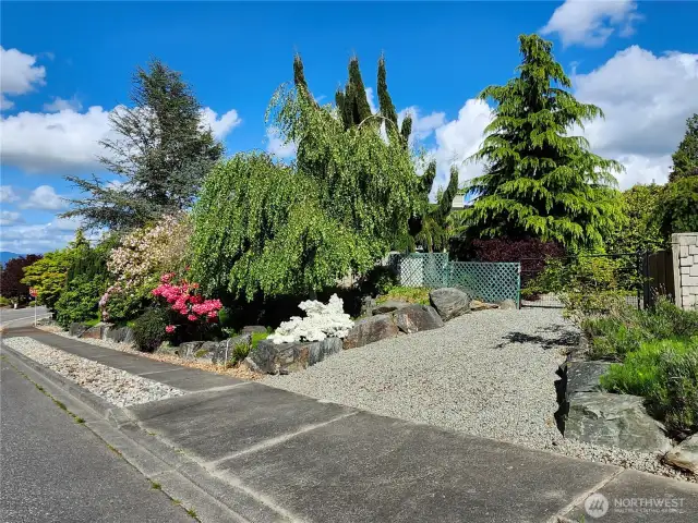 Backyard Access Gate