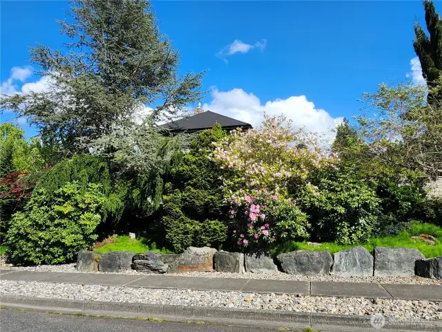 Privacy Landscaping