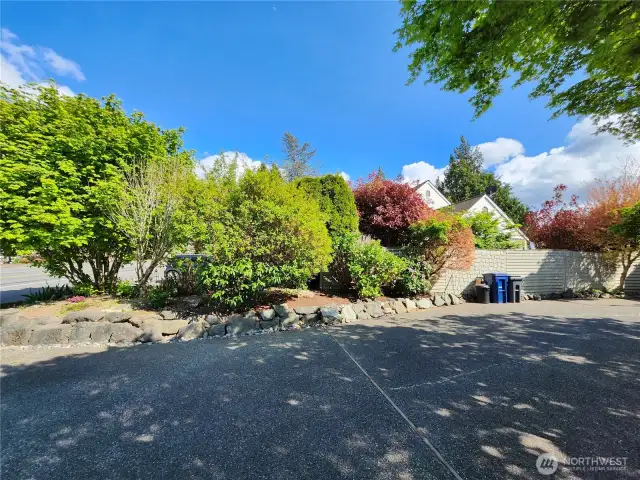 Driveway