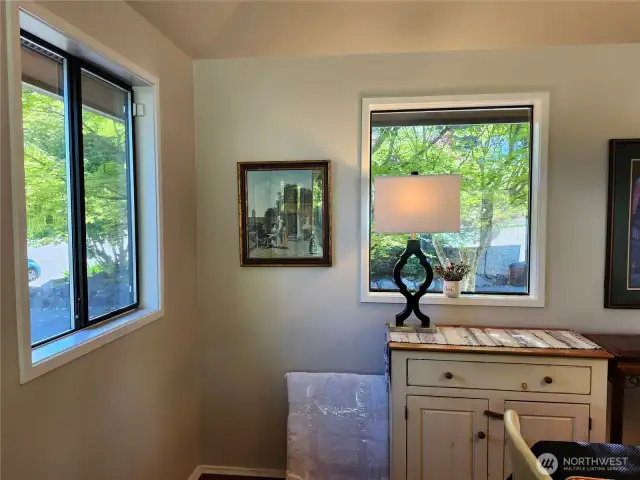Dining Room Windows